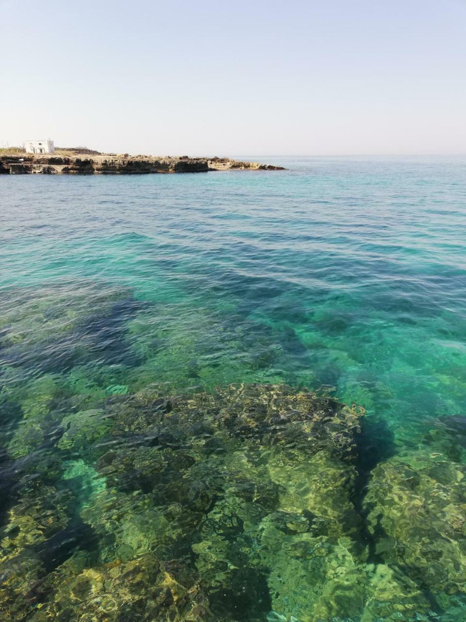 Villa Torto Monopoli Esterno foto